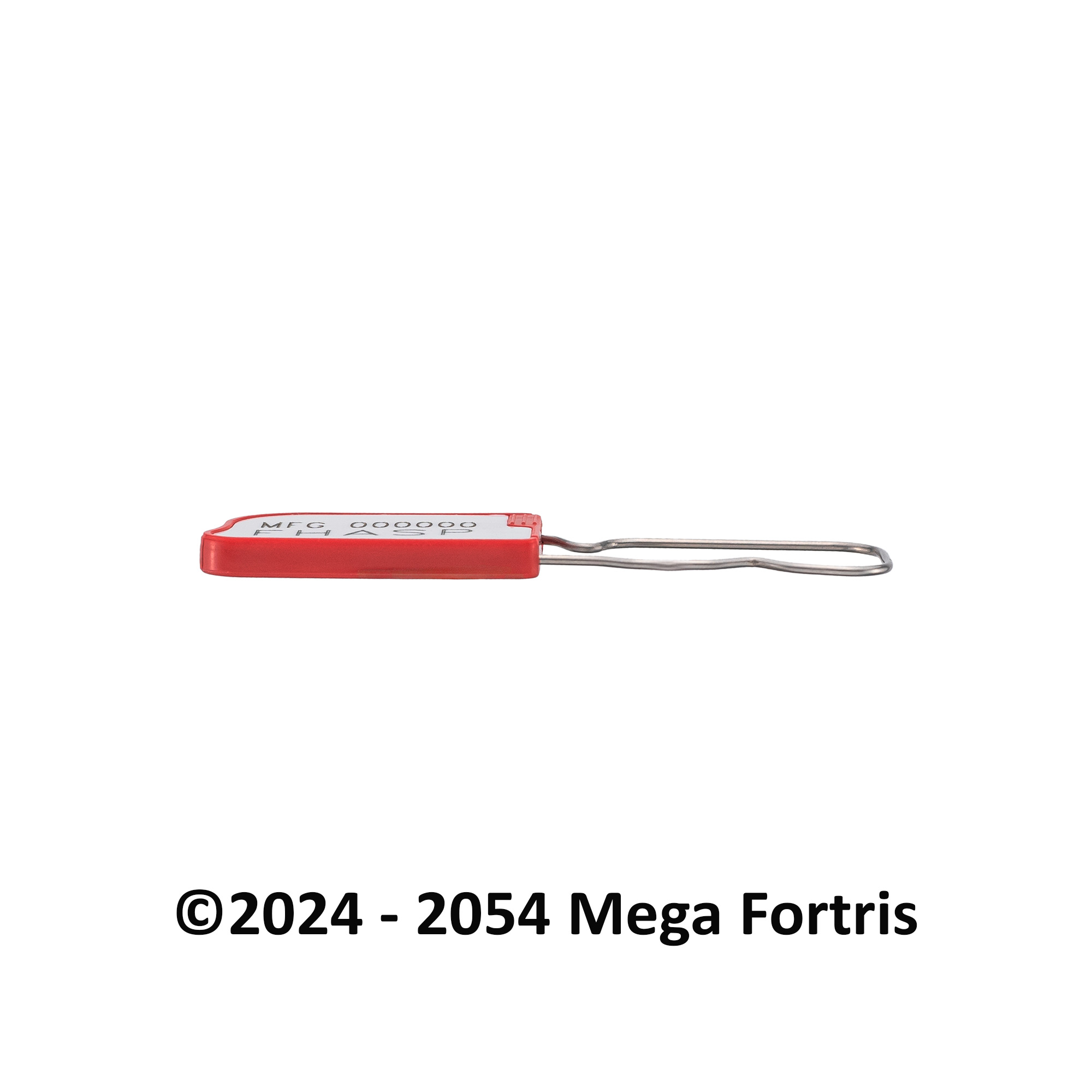 Fort Hasp Padlock (FHASP) - Image 9